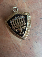 signs & wonders charm collection