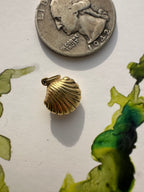 beach charms