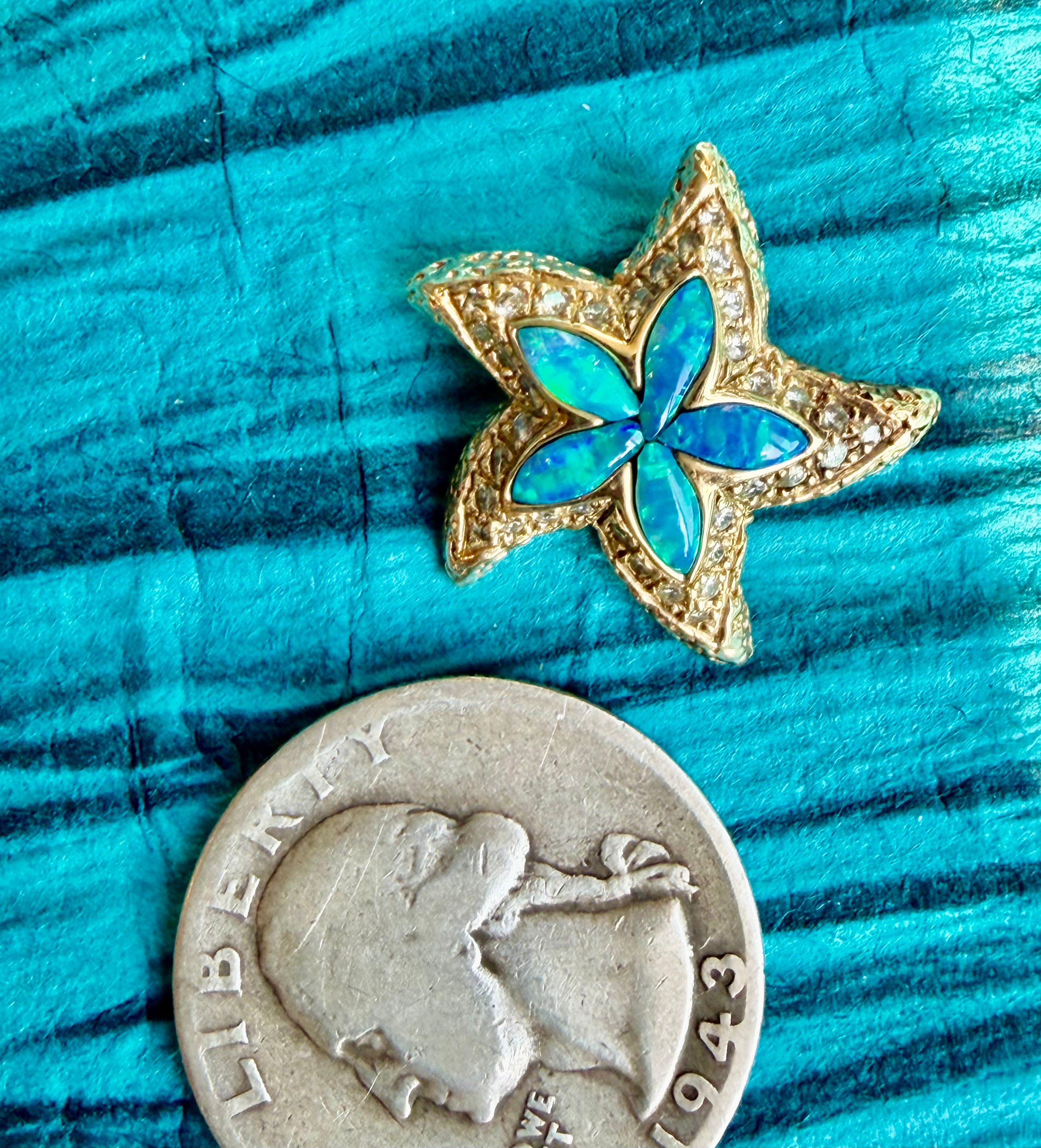treasures of the tide