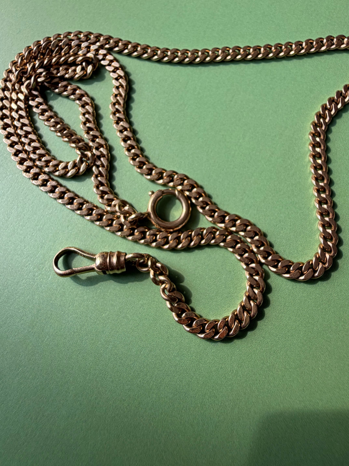 19" curb chain with dog clip and spring ring clasps