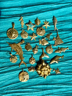 treasures of the tide