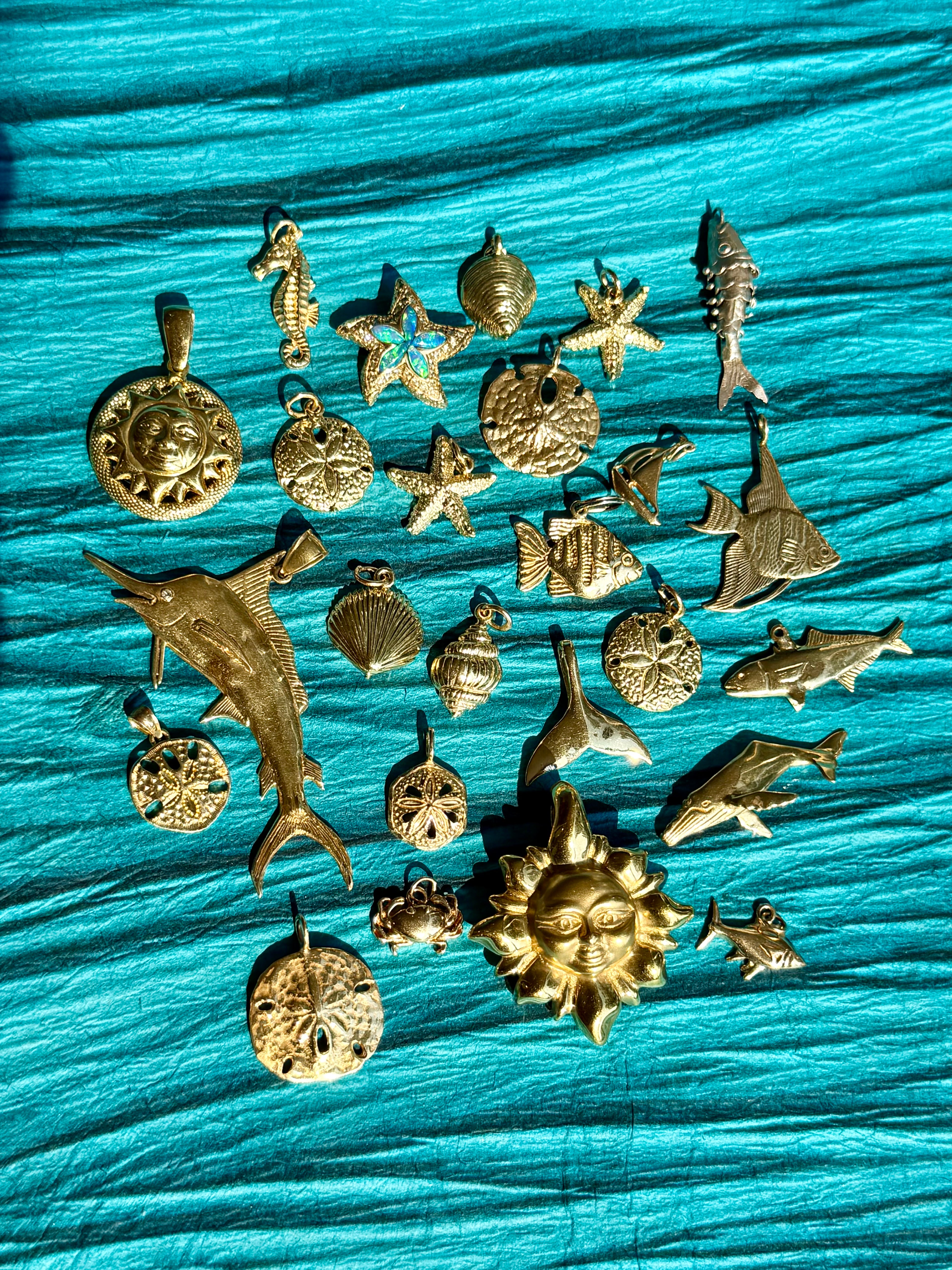 treasures of the tide