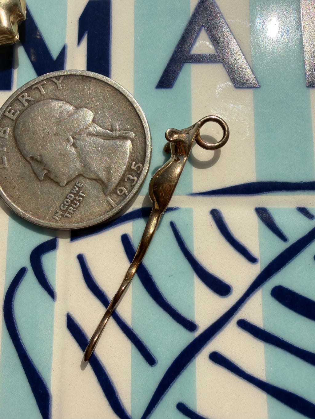 animals, critters, sealife