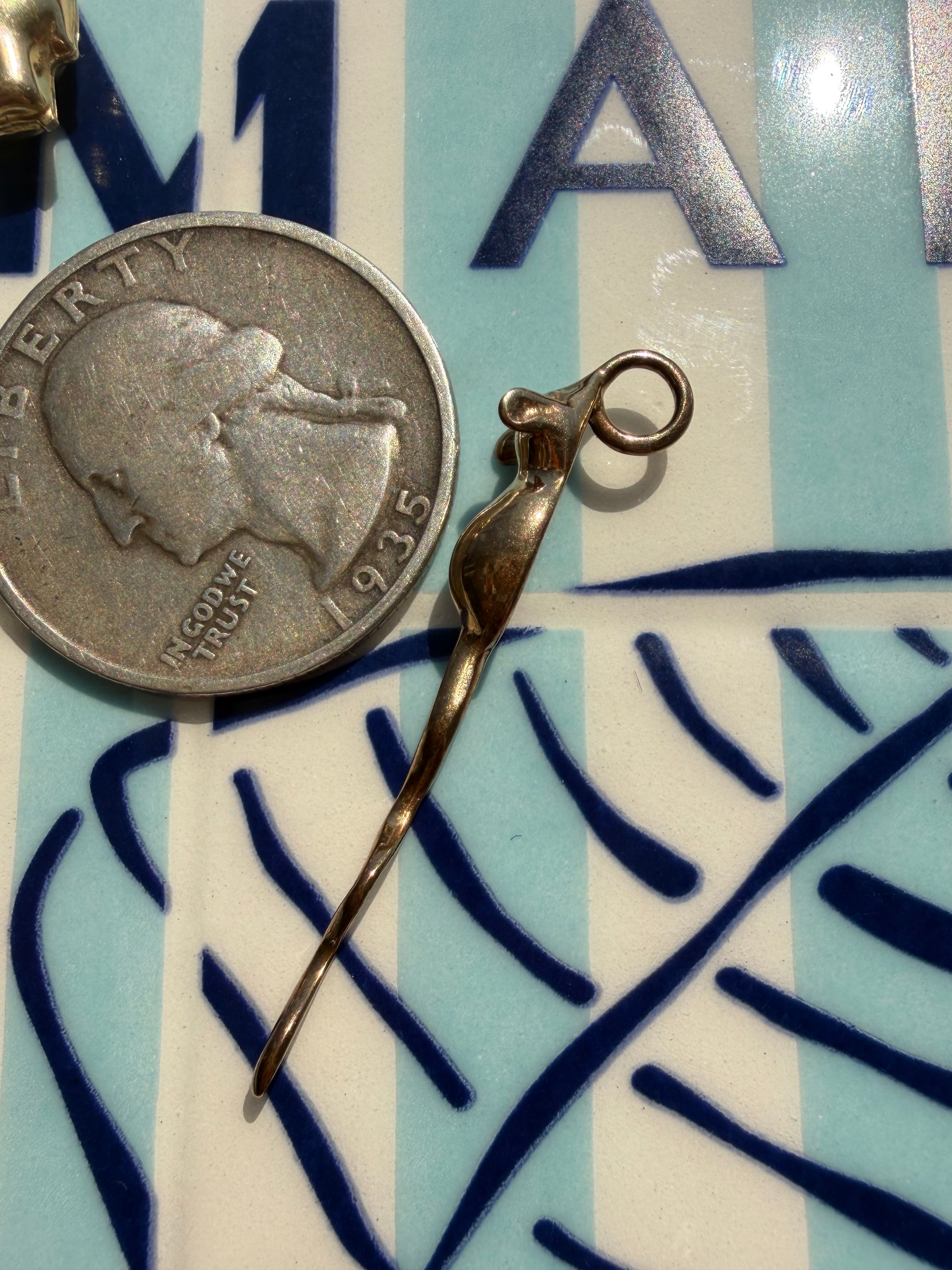 animals, critters, sealife