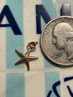 animals, critters, sealife