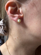 daily earrings