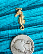 treasures of the tide