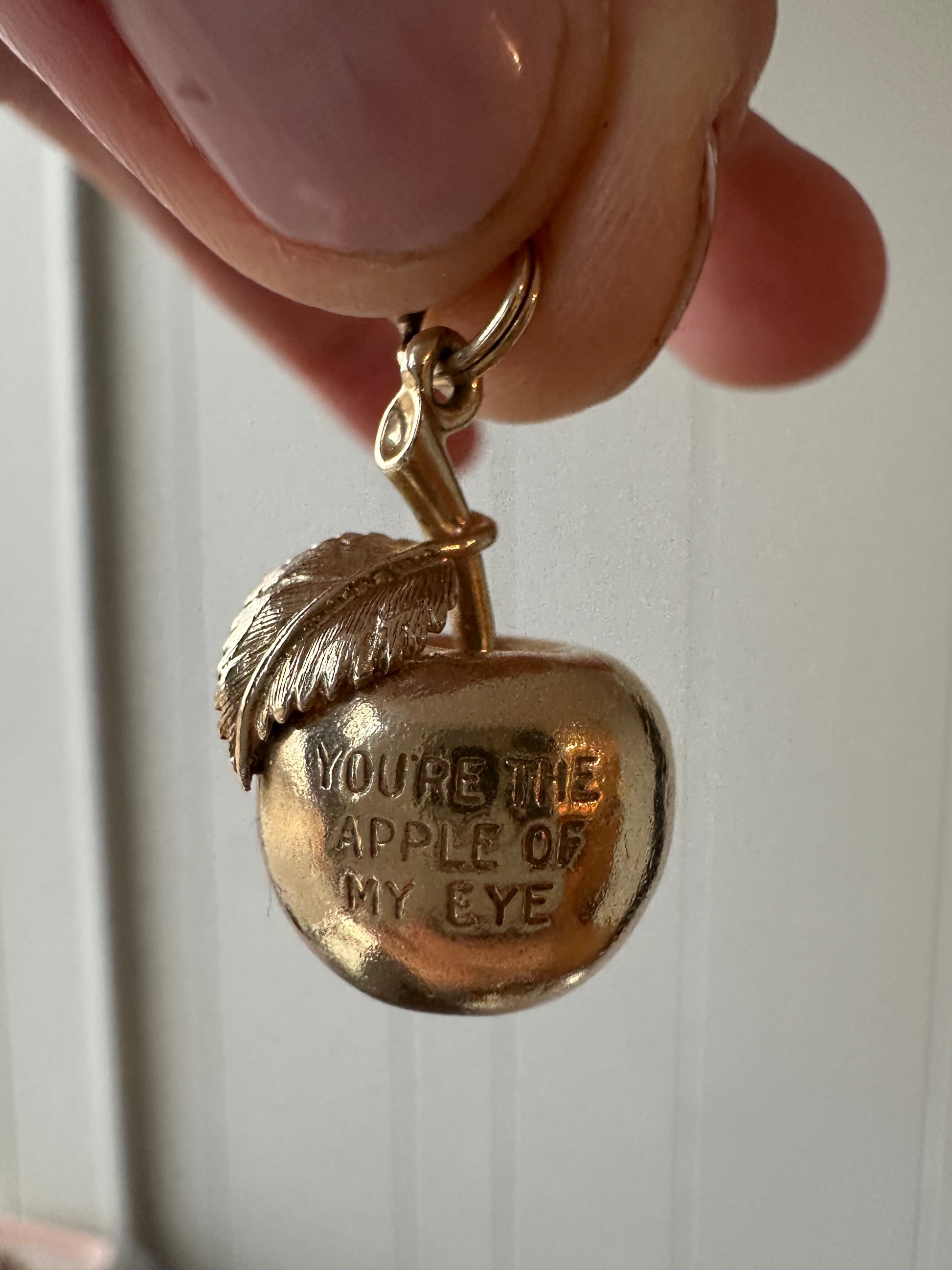 YOU'RE THE APPLE OF MY EYE apple charm