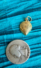 treasures of the tide