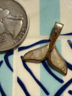 animals, critters, sealife