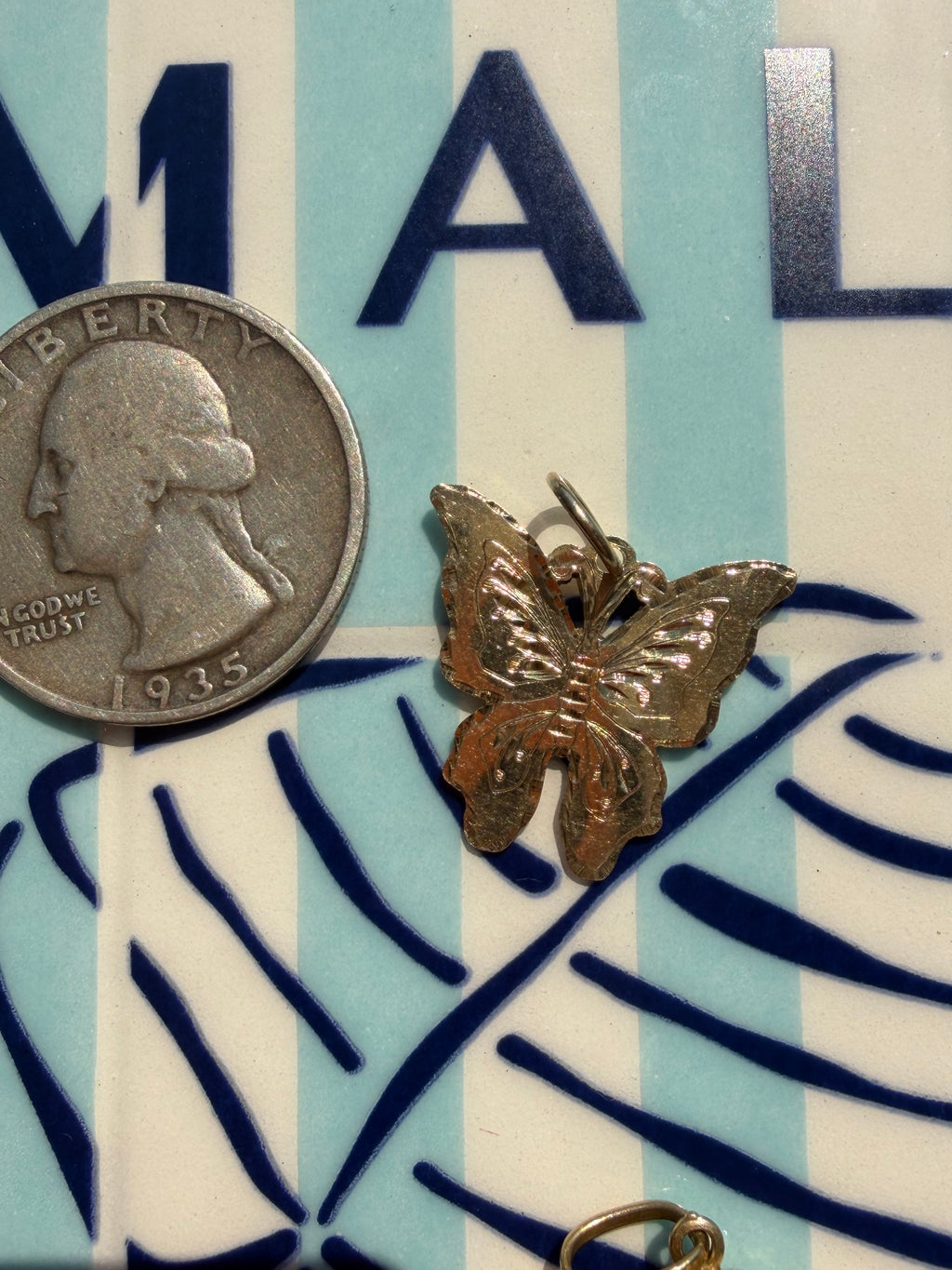 animals, critters, sealife