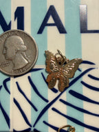 animals, critters, sealife