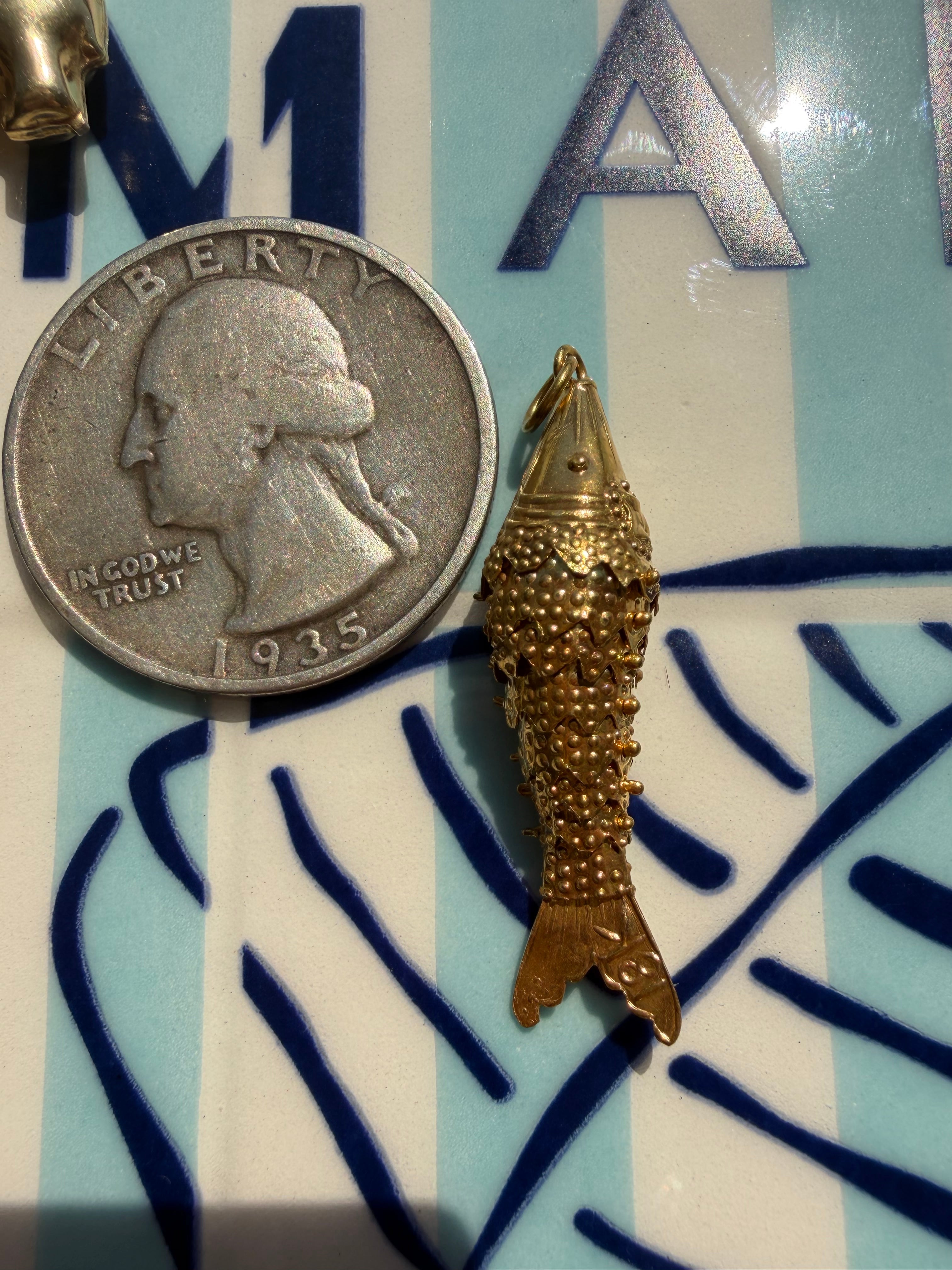 animals, critters, sealife