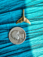 treasures of the tide