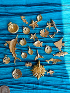 treasures of the tide