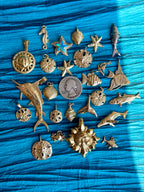 treasures of the tide