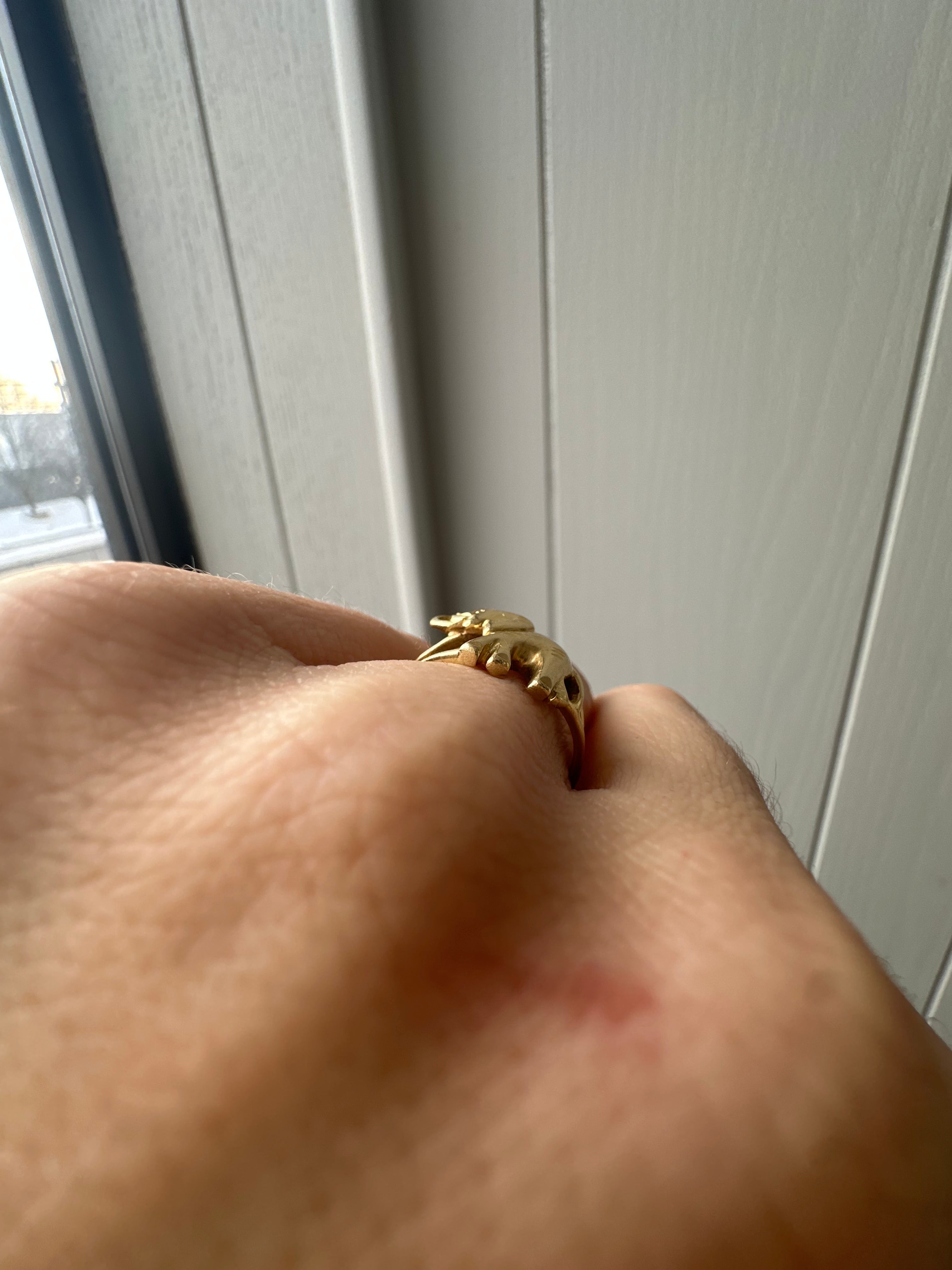 elephant ring