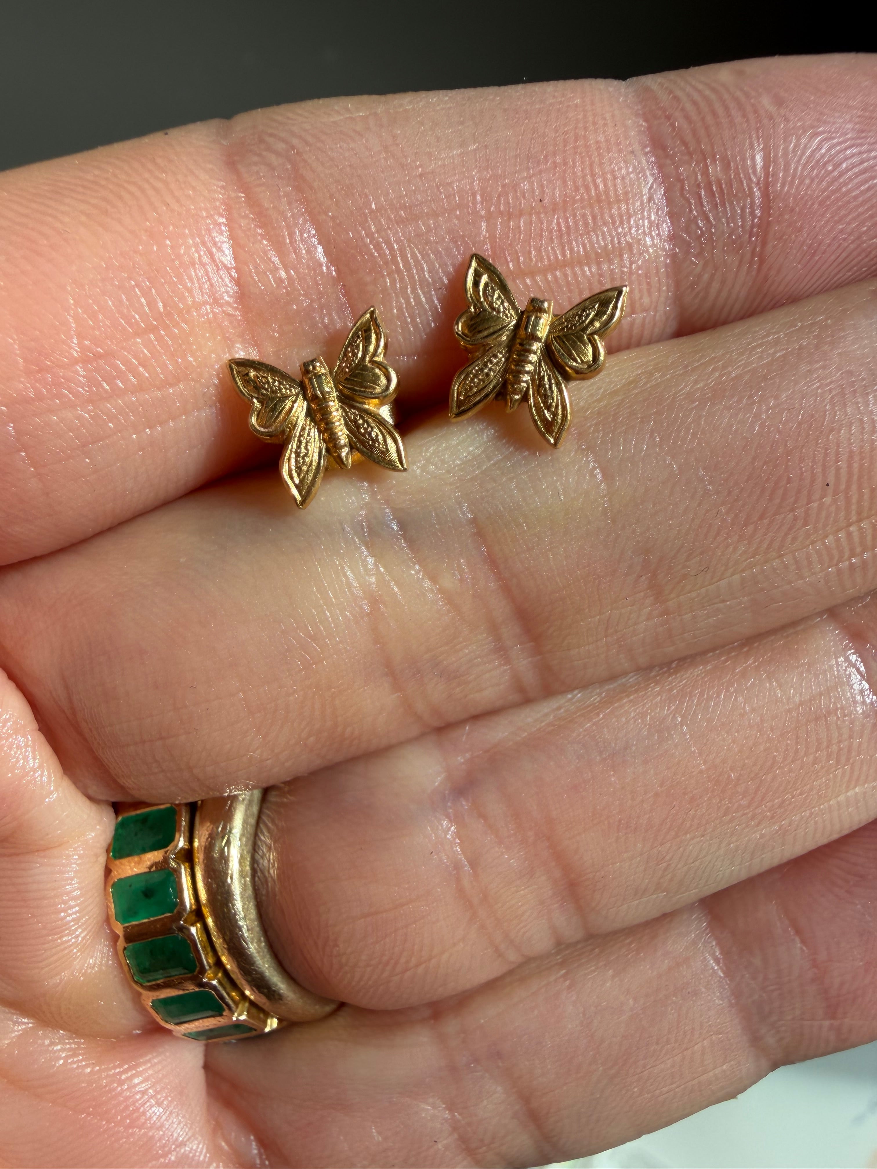 daily earrings