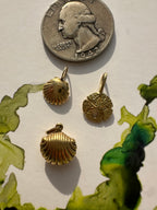 beach charms