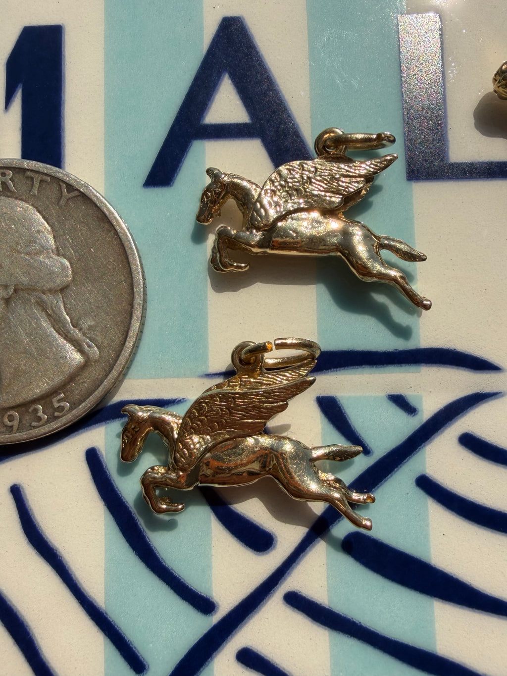 animals, critters, sealife