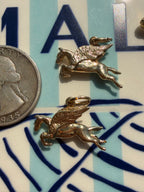 animals, critters, sealife