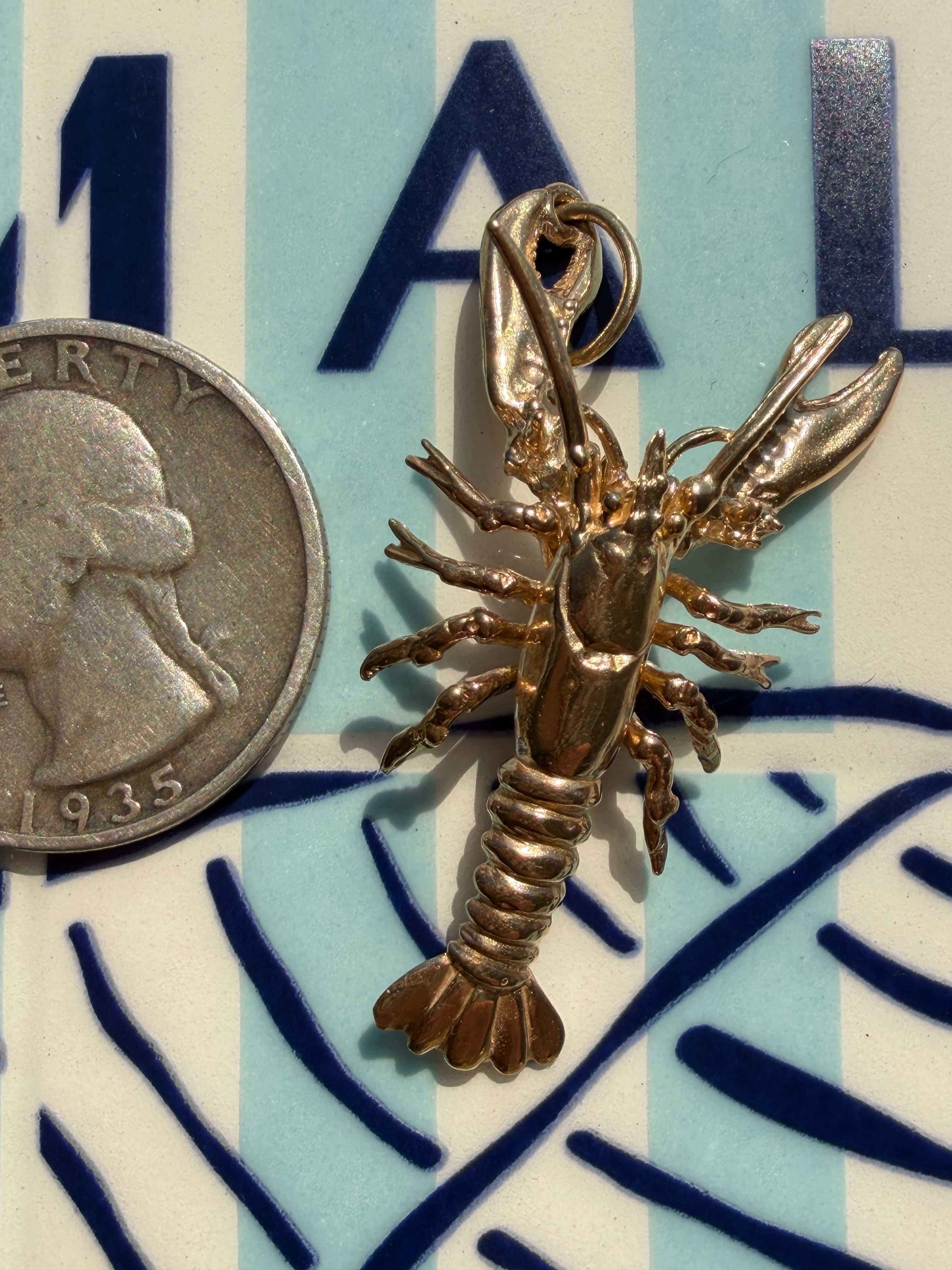 animals, critters, sealife