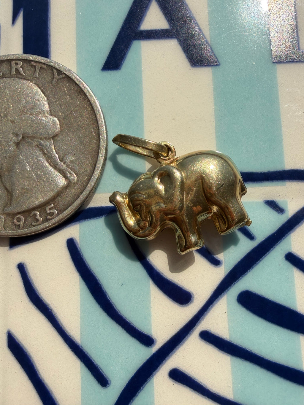 animals, critters, sealife