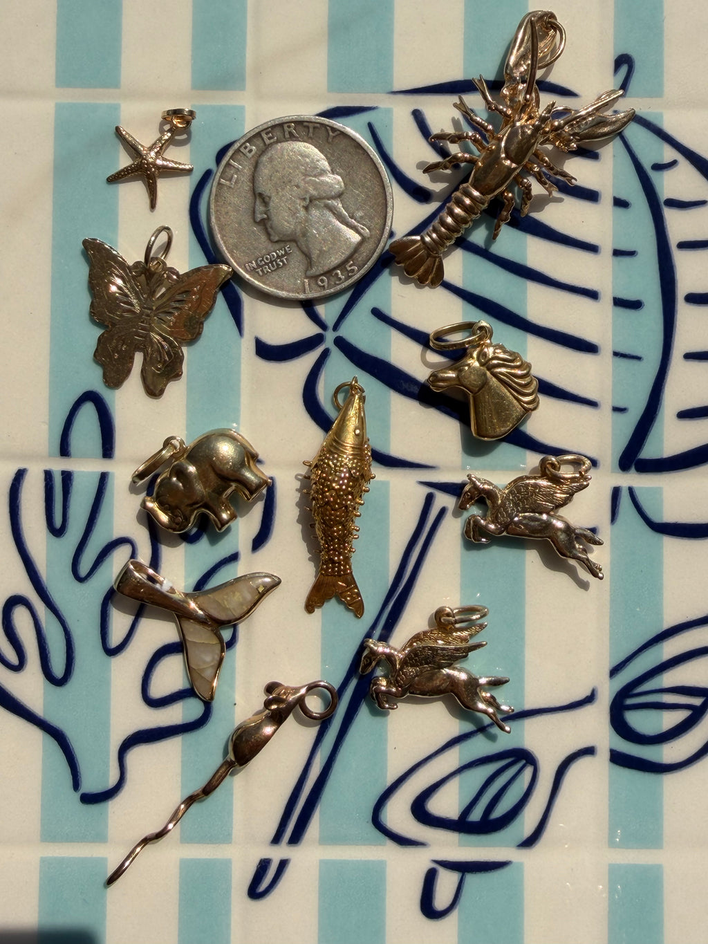 animals, critters, sealife