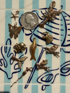 animals, critters, sealife