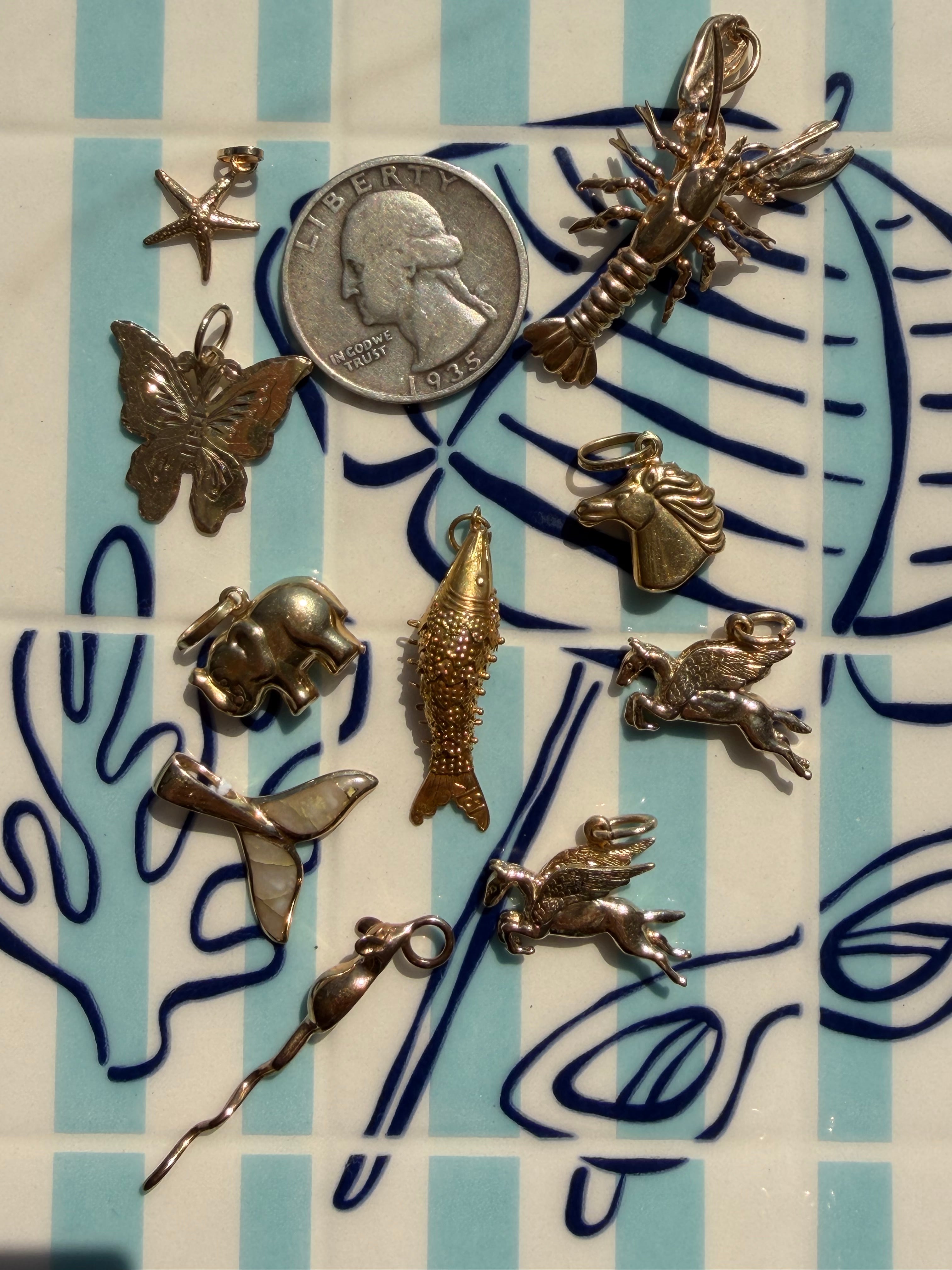 animals, critters, sealife