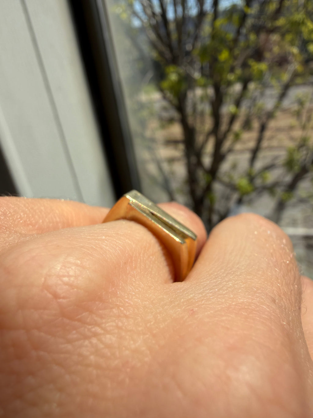 geometric ring