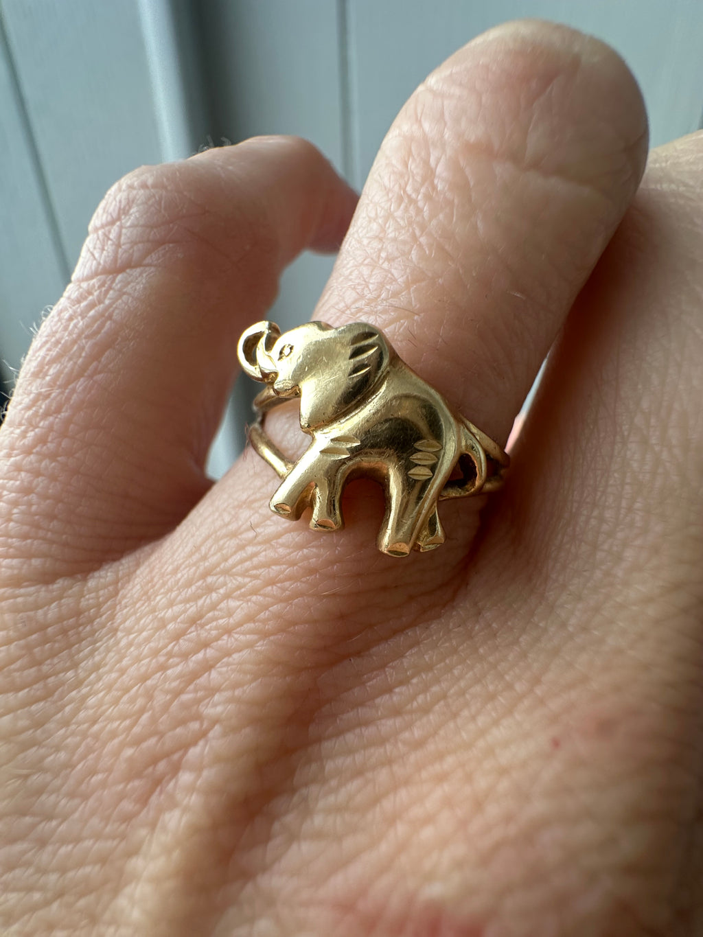 elephant ring