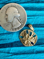 treasures of the tide