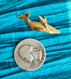 treasures of the tide