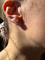 daily earrings