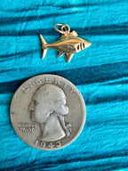 treasures of the tide