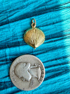 treasures of the tide