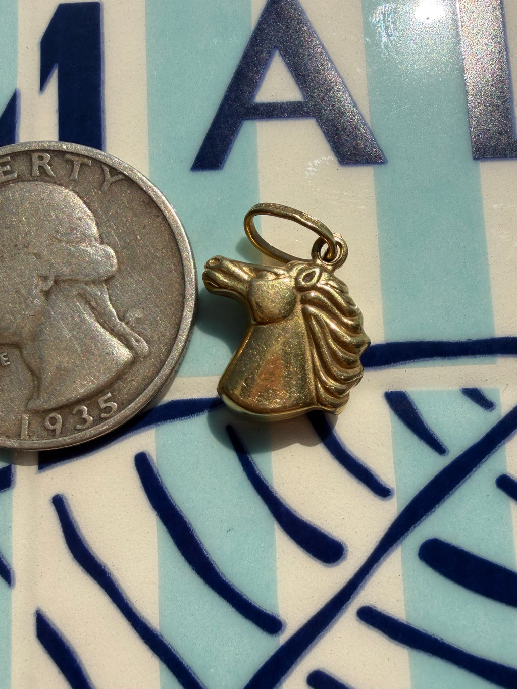 animals, critters, sealife