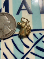 animals, critters, sealife