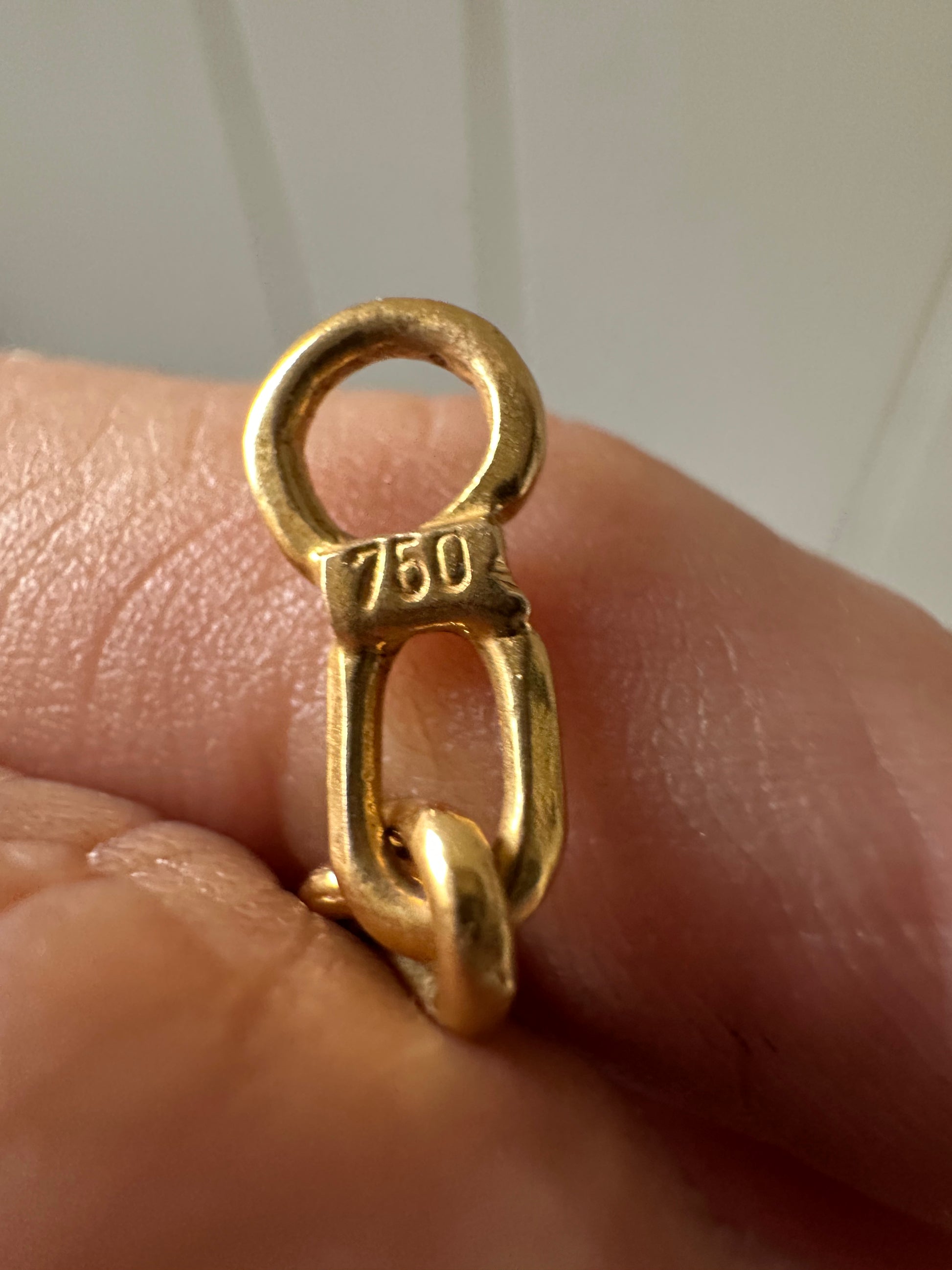 18k long biker link