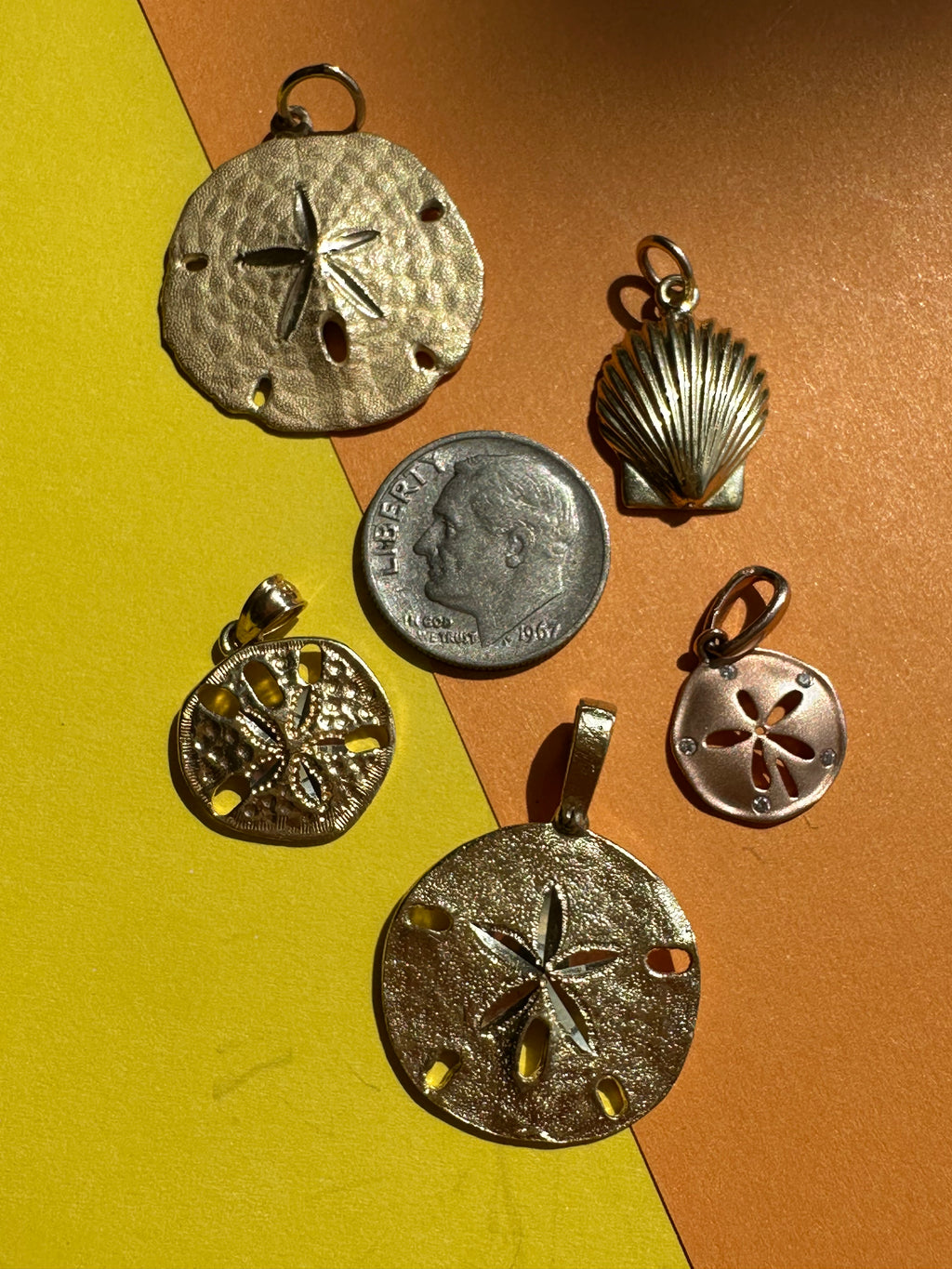 seashells and sand dollars