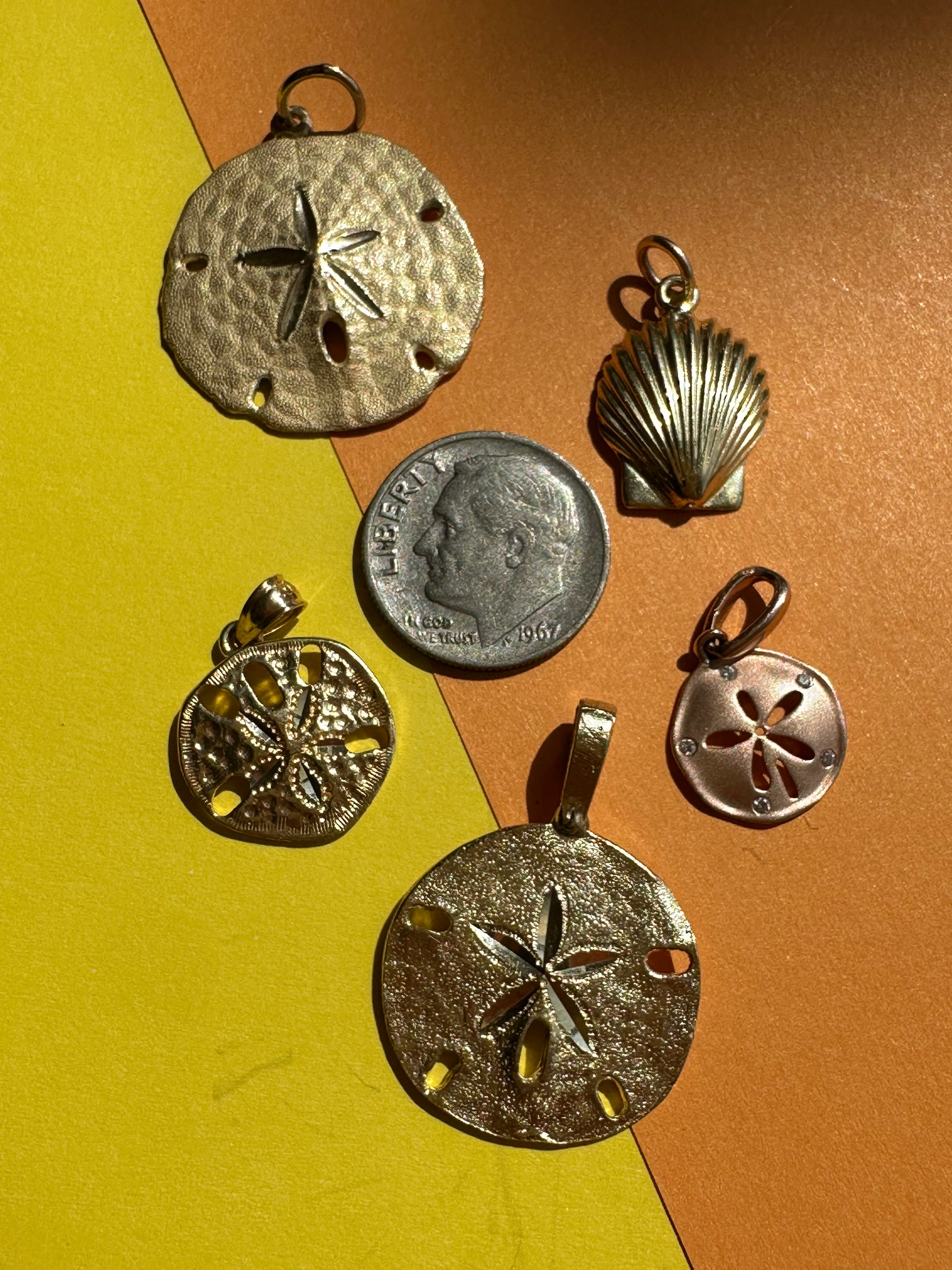 seashells and sand dollars