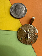 seashells and sand dollars