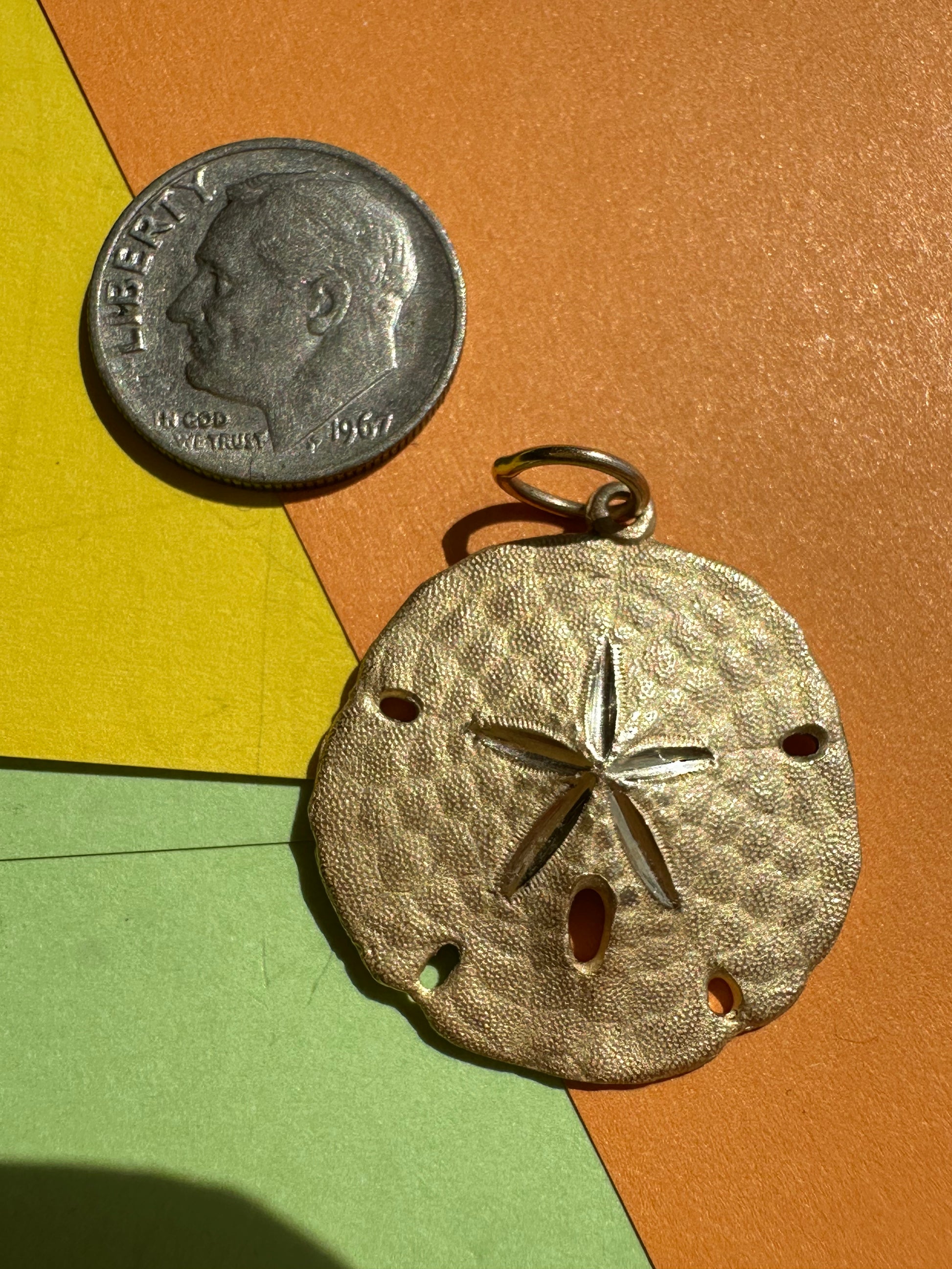 seashells and sand dollars