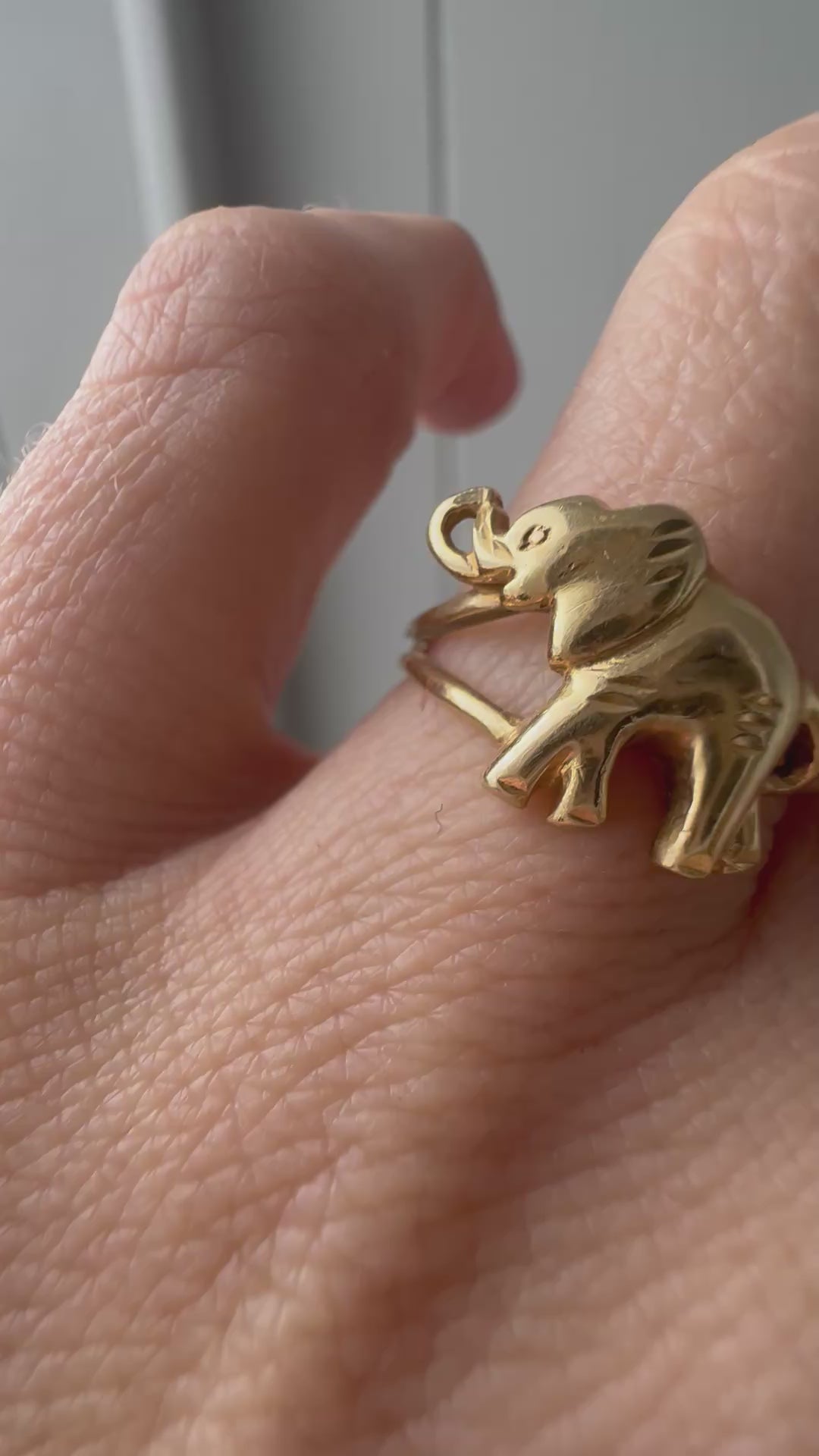 elephant ring