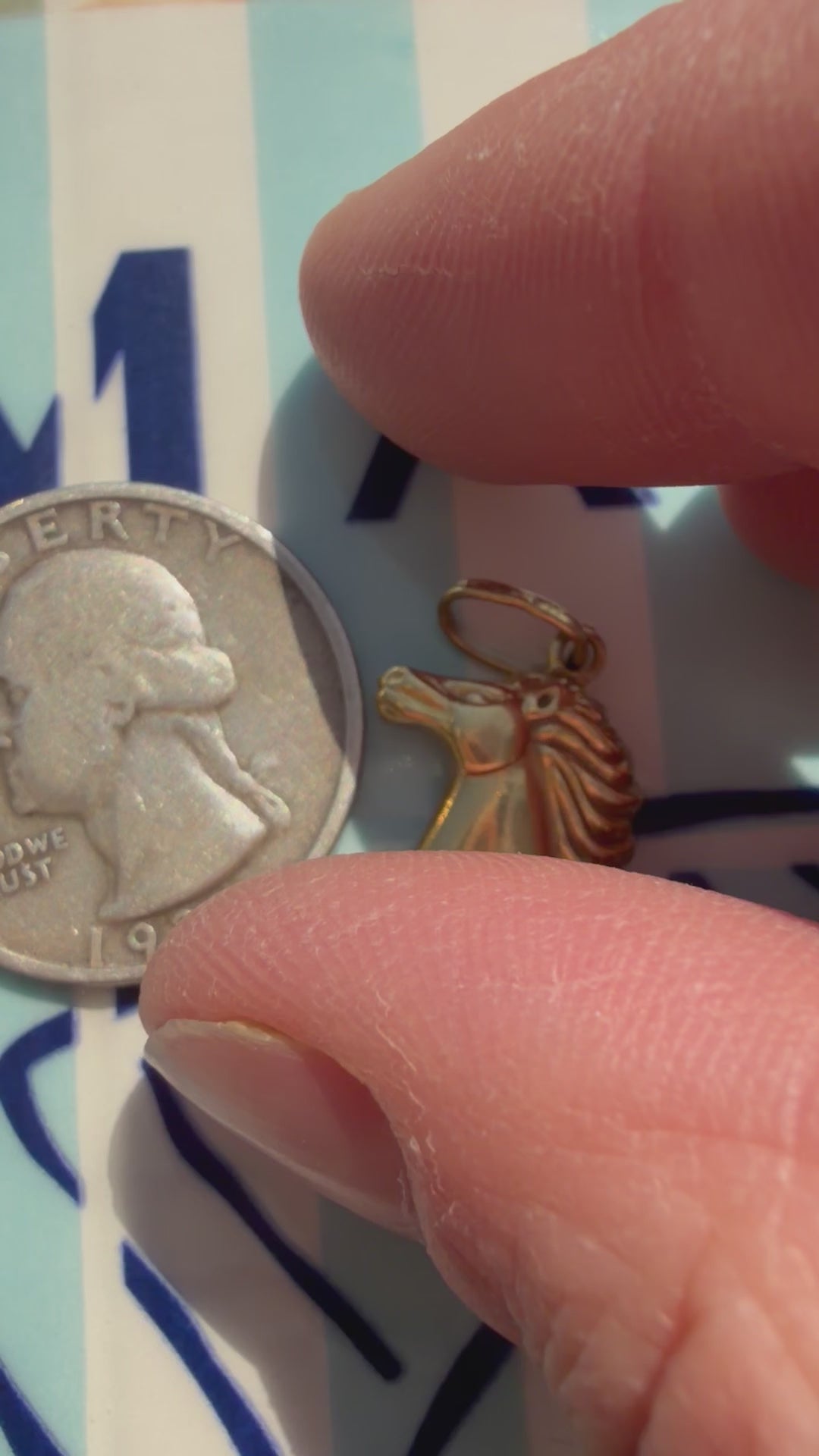 animals, critters, sealife