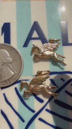 animals, critters, sealife