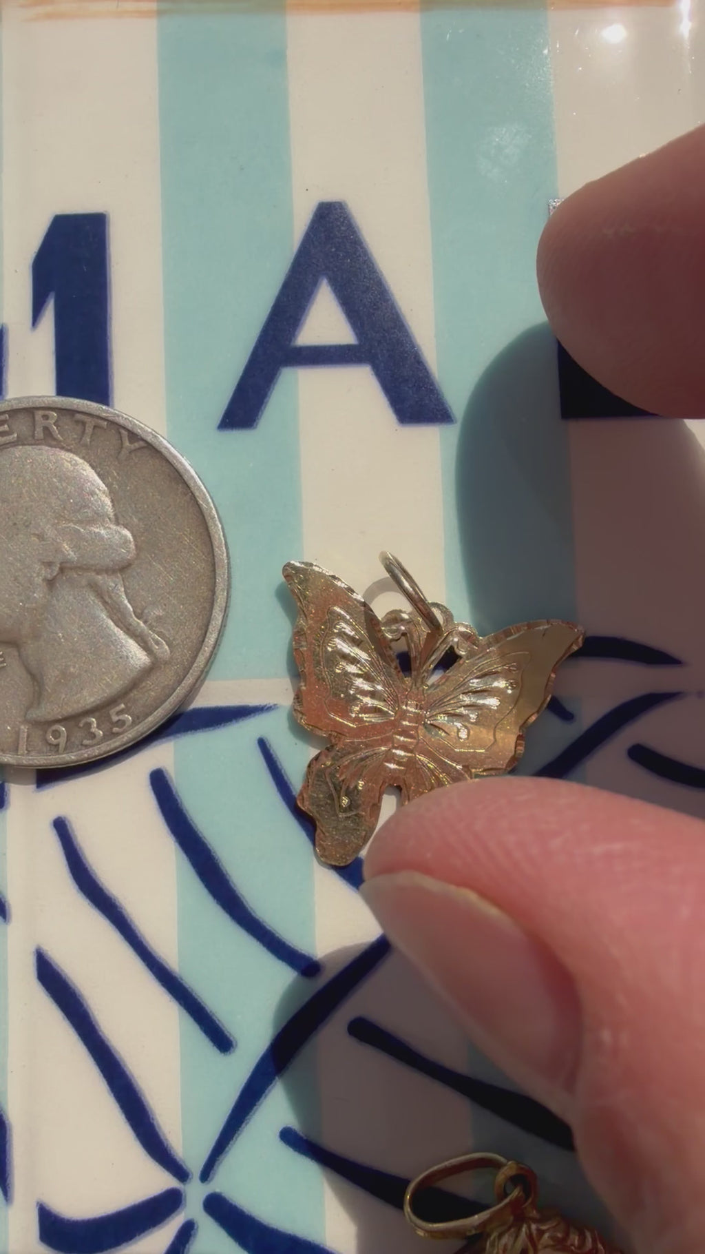 animals, critters, sealife