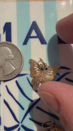 animals, critters, sealife