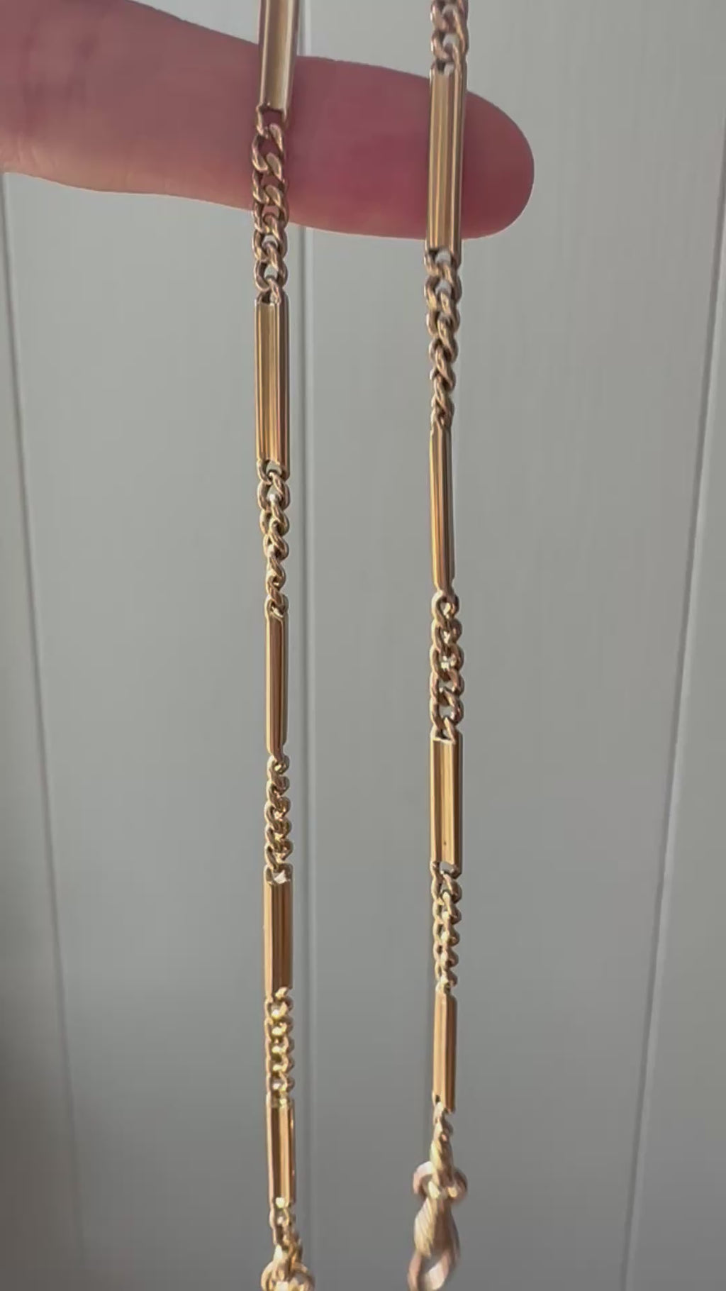 cable and bar link with two dog clips